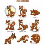 Chocolate Lupe