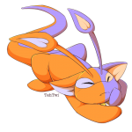 Split Aisha