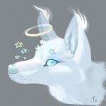 Starry Halo