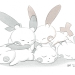 Minun Hoard